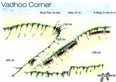 Vadhoo Corner